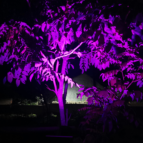 RGB solar spotlight.jpg